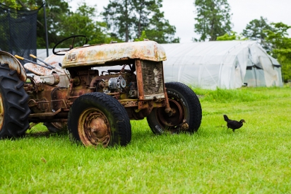 old tractor on Terra Kotta farms