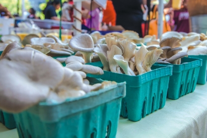 Local mushrooms at the farmers market