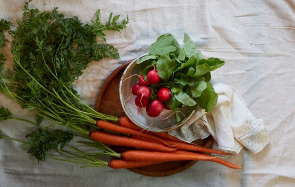 carrots and radishes on table