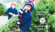 Children with fresh cut Christmas trees