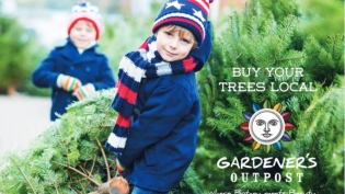 Children with fresh cut Christmas trees